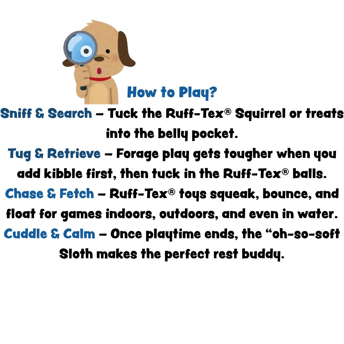 Snuggles & Zoom Toy - Modern Companion