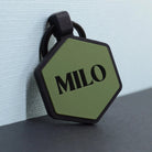 Solid Color Silicone Pet ID Tag - Modern Companion