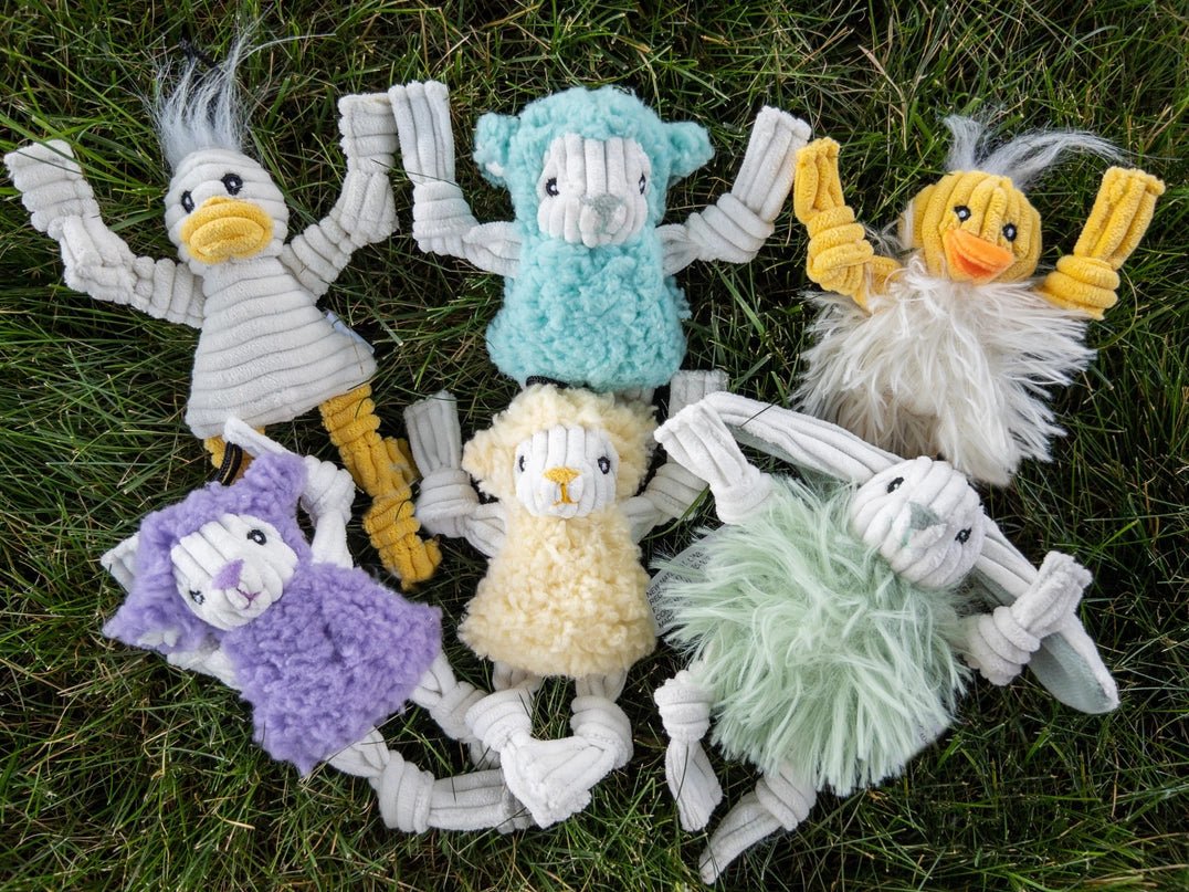 Spring Wee Huggles® Toys - Modern Companion