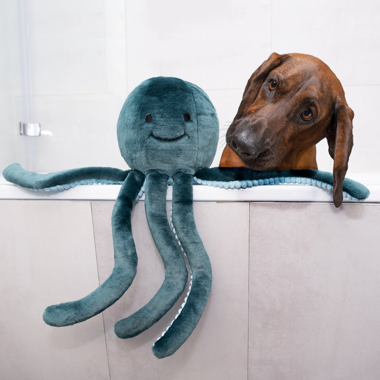 Stevie Octopus - Modern Companion