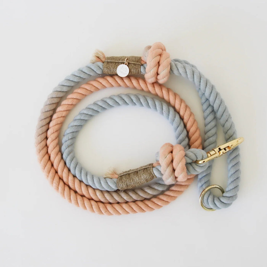 Sunset Sherbet - Rope Leash - Modern Companion