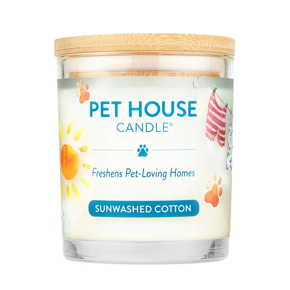 Sunwashed Cotton Pet House Candle - Modern Companion