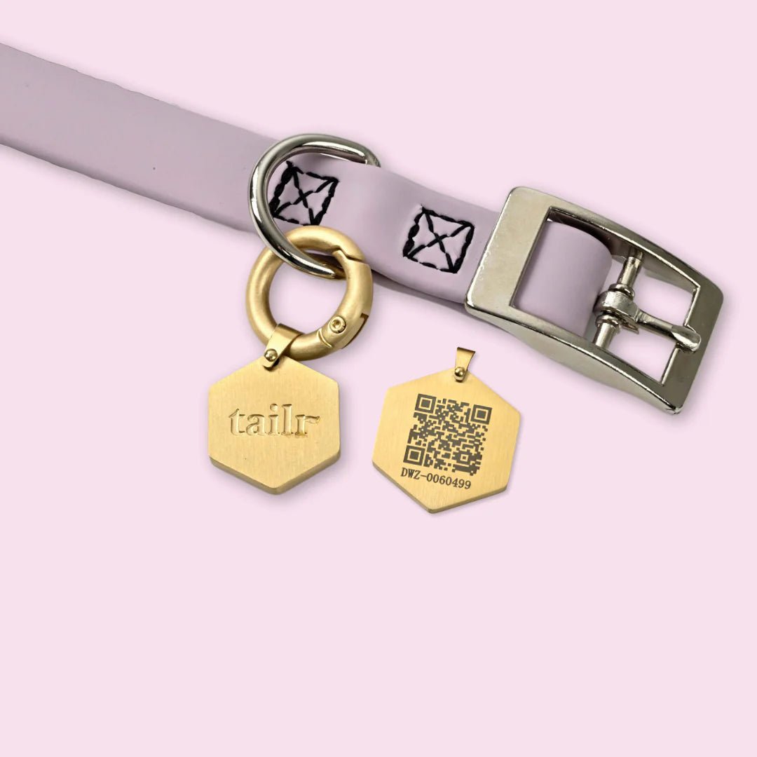 Tailr Classic ID Pet Tag - Modern Companion
