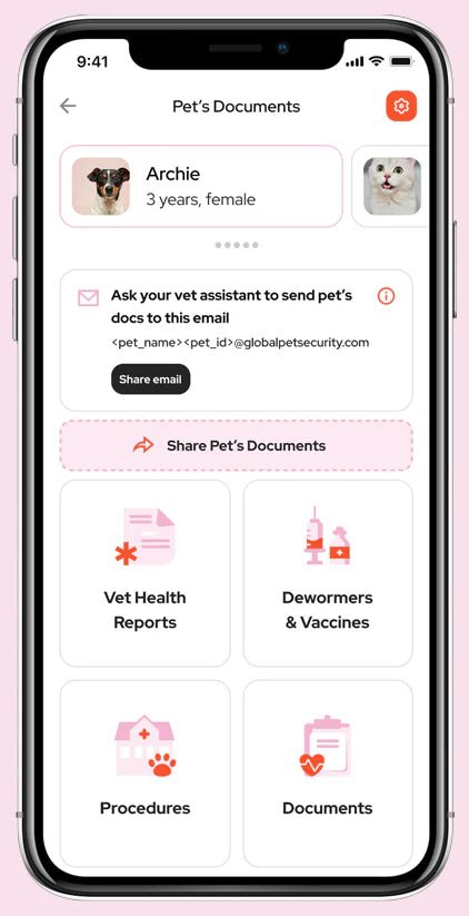 Tailr Classic ID Pet Tag - Modern Companion