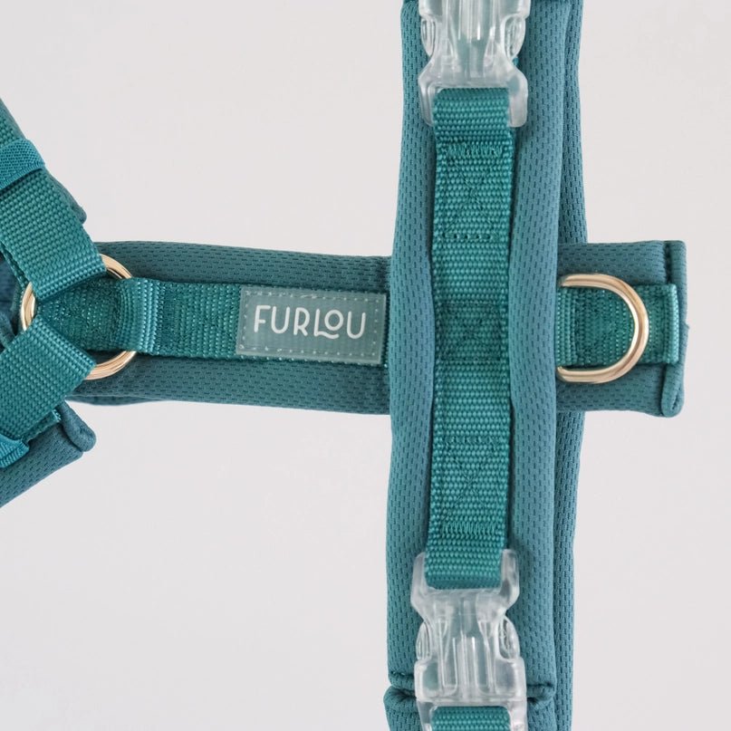 Teal Comfort Dog Harness - Modern Companion