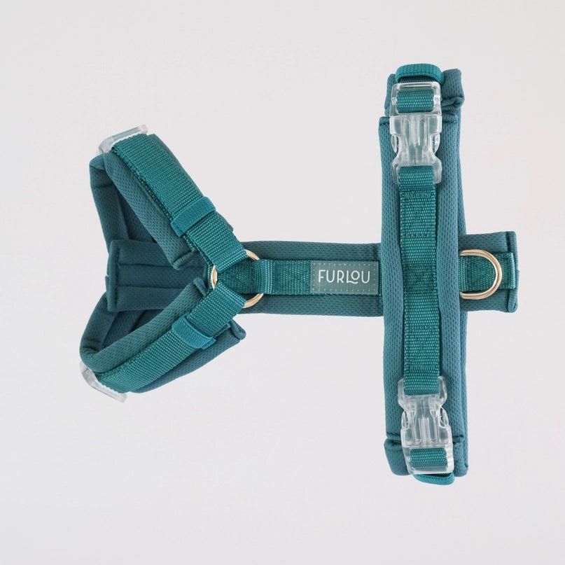 Teal Comfort Dog Harness - Modern Companion