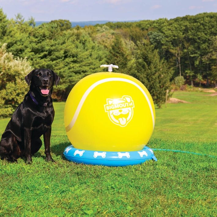 Tennis Ball Pet Sprinkler – Modern Companion