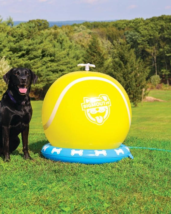 Tennis Ball Pet Sprinkler - Modern Companion