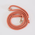 Terracotta Braided Rope Leash - Modern Companion