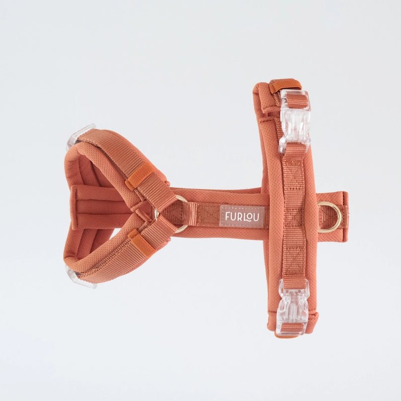 Terracotta Comfort Dog Harness - Modern Companion