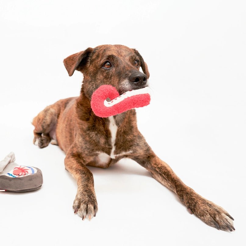 Tinned Octopus Nosework Toy - Modern Companion