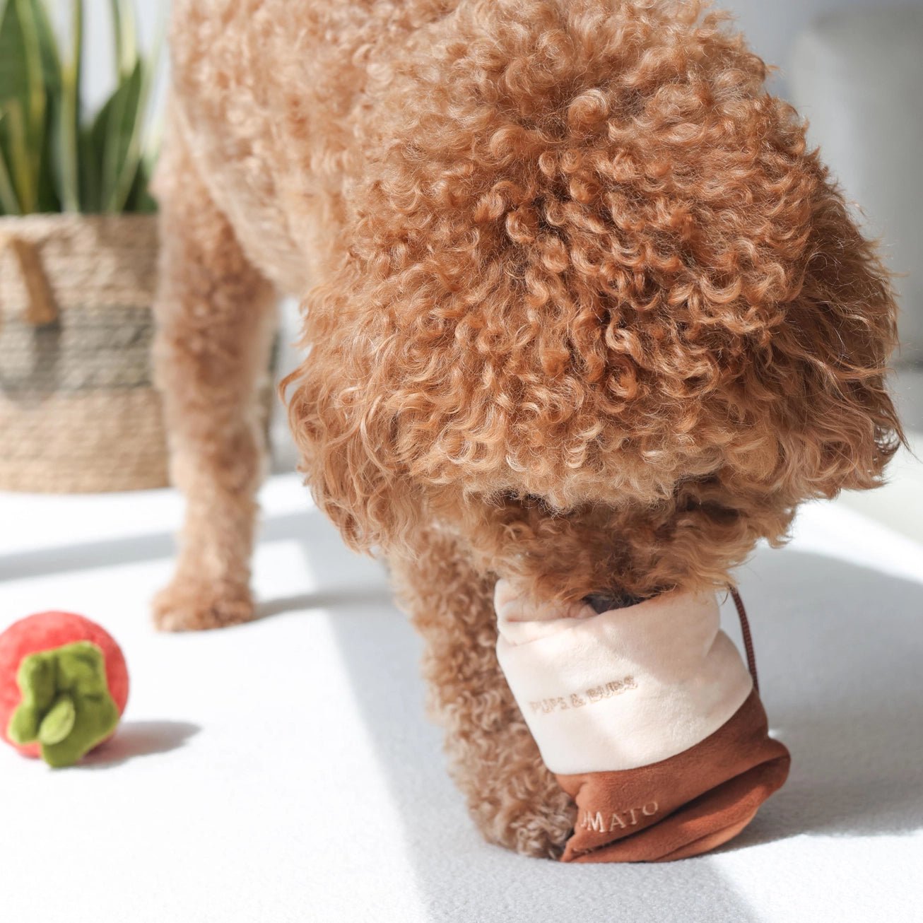 Tomato Soup Nosework Toy - Modern Companion
