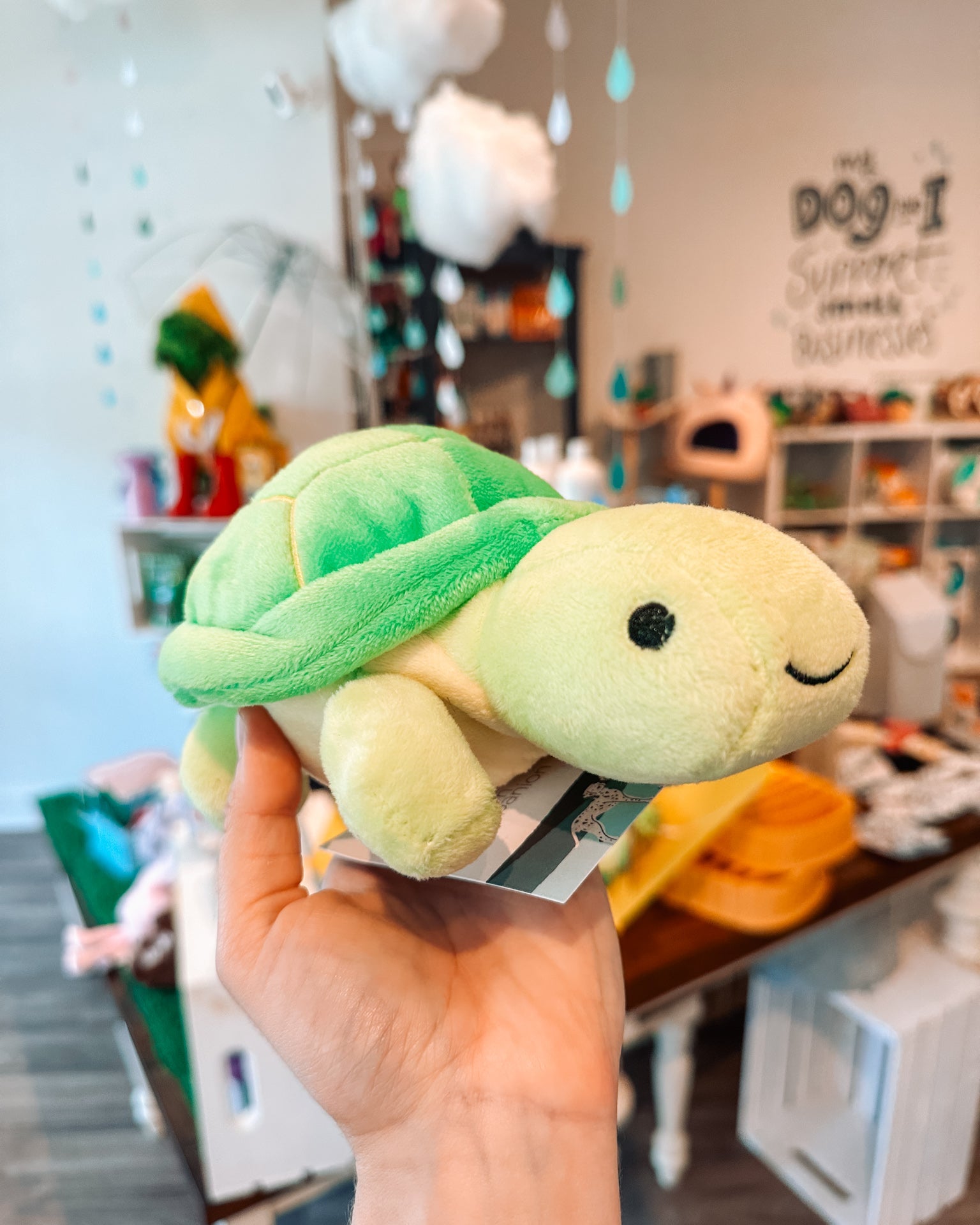 Turtle 3 in 1 Toy - Modern Companion