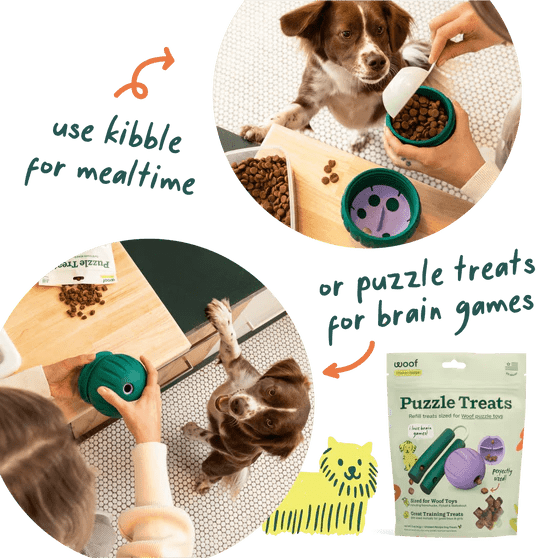 Walkabout Toy - Modern Companion