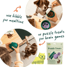 Walkabout Toy - Modern Companion