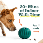 Walkabout Toy - Modern Companion