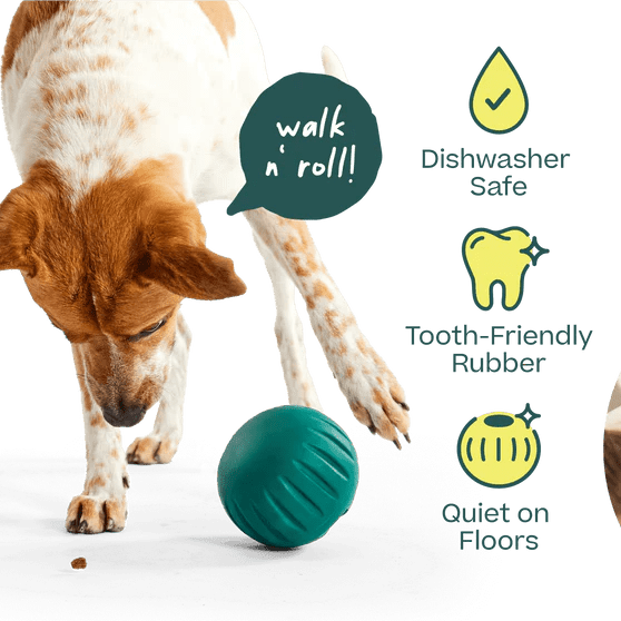 Walkabout Toy - Modern Companion