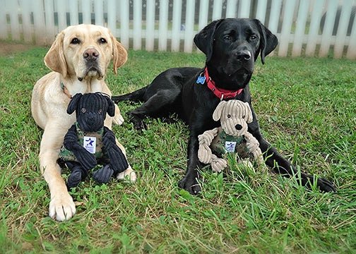 Warrior Canine Connection Lab Knottie® Plush Toy - Modern Companion