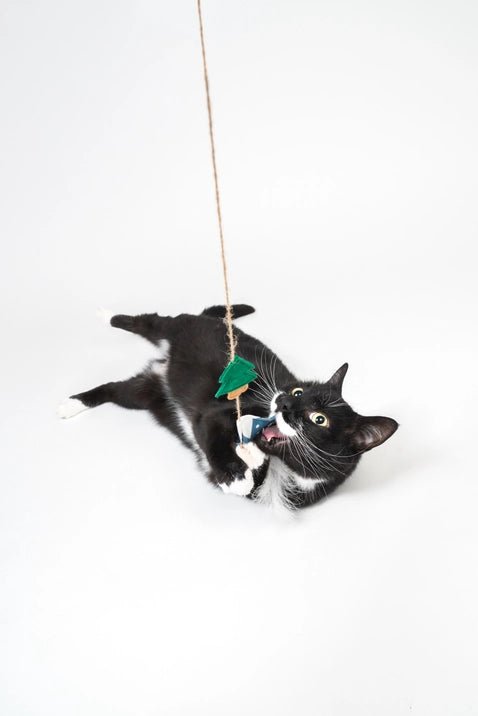 West Coast Meowntain Catnip Teaser Toy - Modern Companion