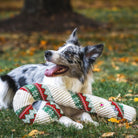 Wintergreen Candy Cane Toy - Modern Companion