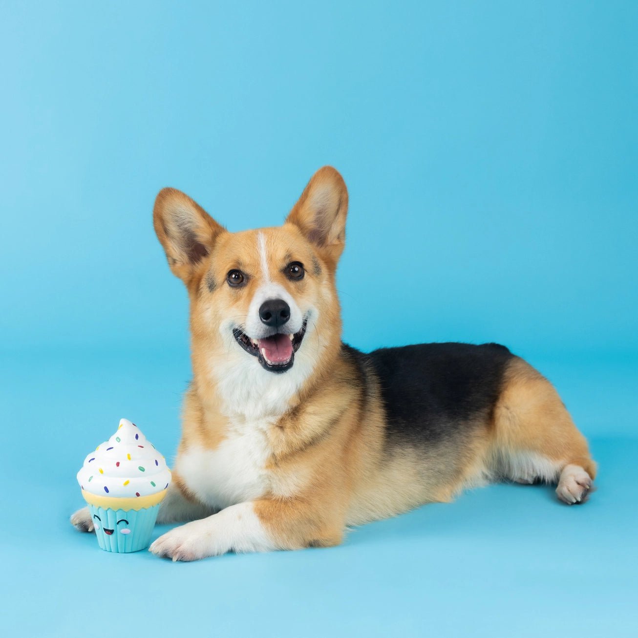 You Bake Me Crazy Toy - Modern Companion