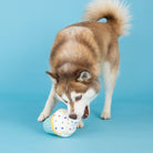 You Bake Me Crazy Toy - Modern Companion