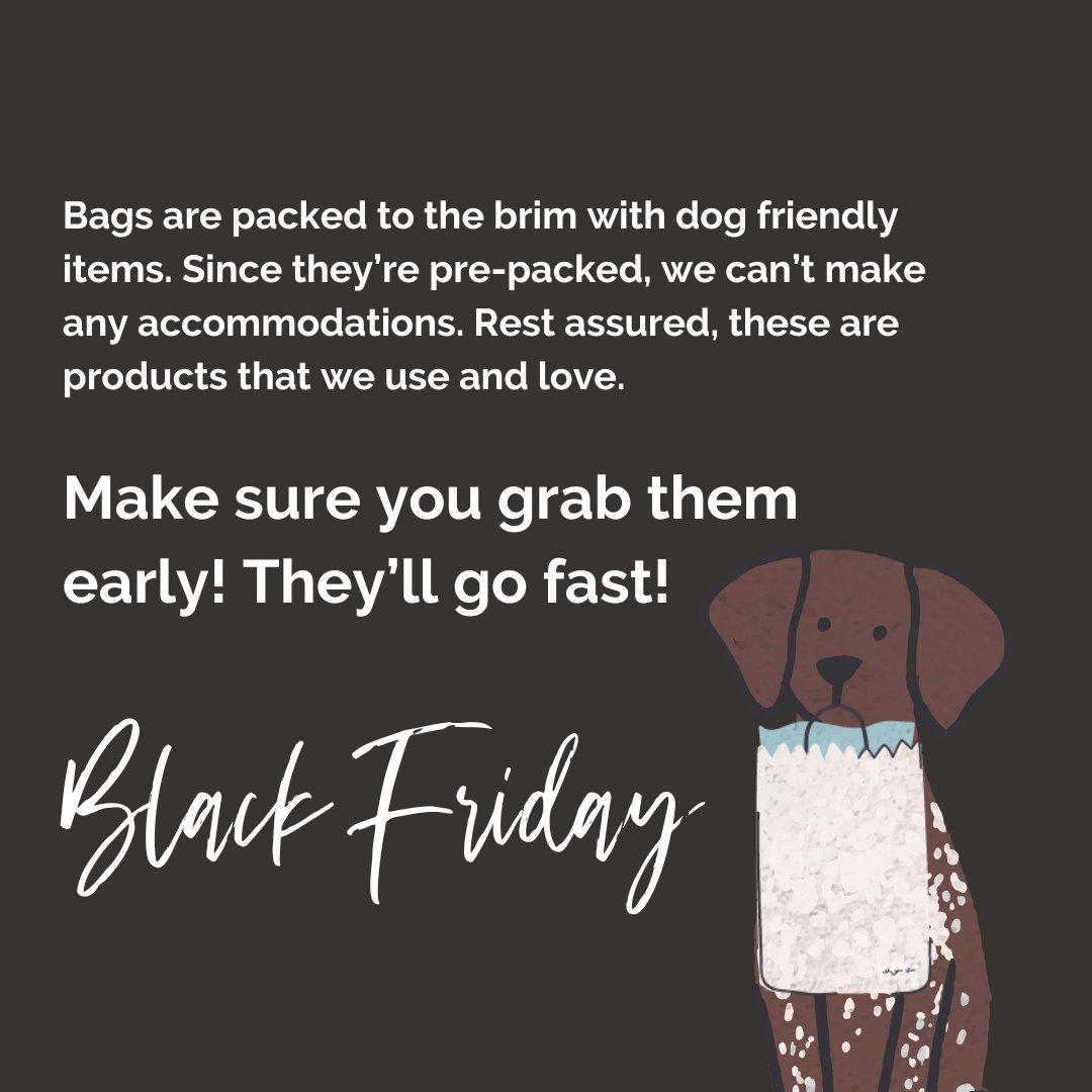 $25 Black Friday Mystery Bags - Modern Companion