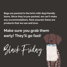 $25 Black Friday Mystery Bags - Modern Companion