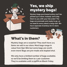 $25 Black Friday Mystery Bags - Modern Companion
