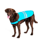 Adventure Cooling Vest - Blue - Modern Companion