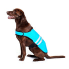 Adventure Cooling Vest - Blue - Modern Companion