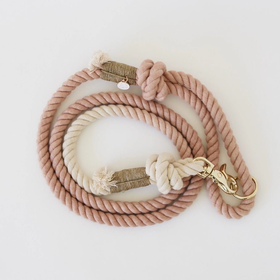Antique Rose - Rope Leash - Modern Companion