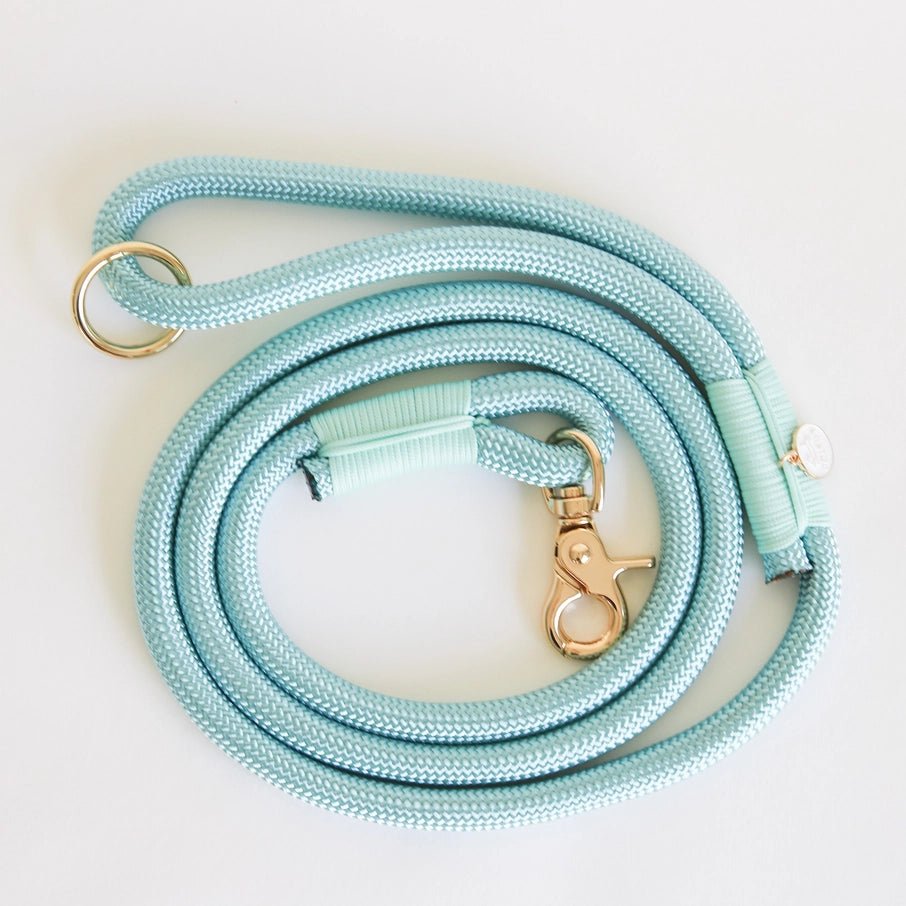 Aqua - Braided Rope Leash - Modern Companion