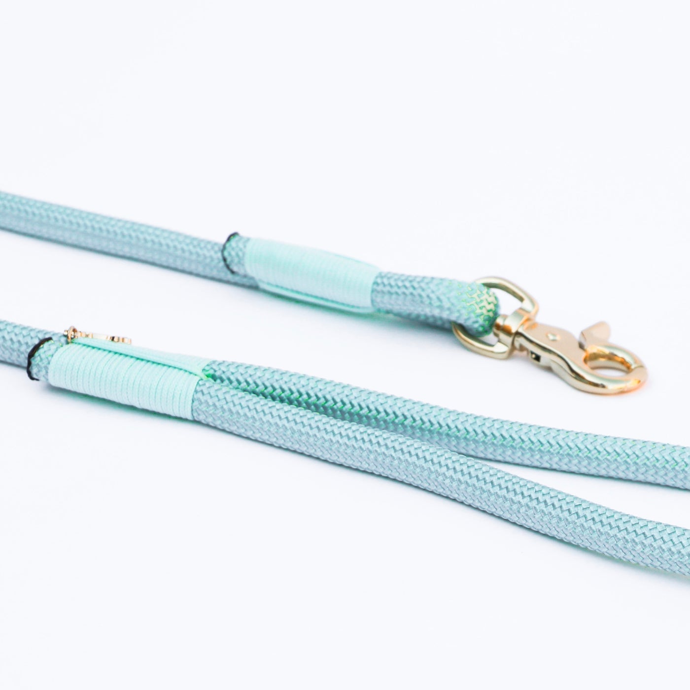 Aqua - Braided Rope Leash - Modern Companion