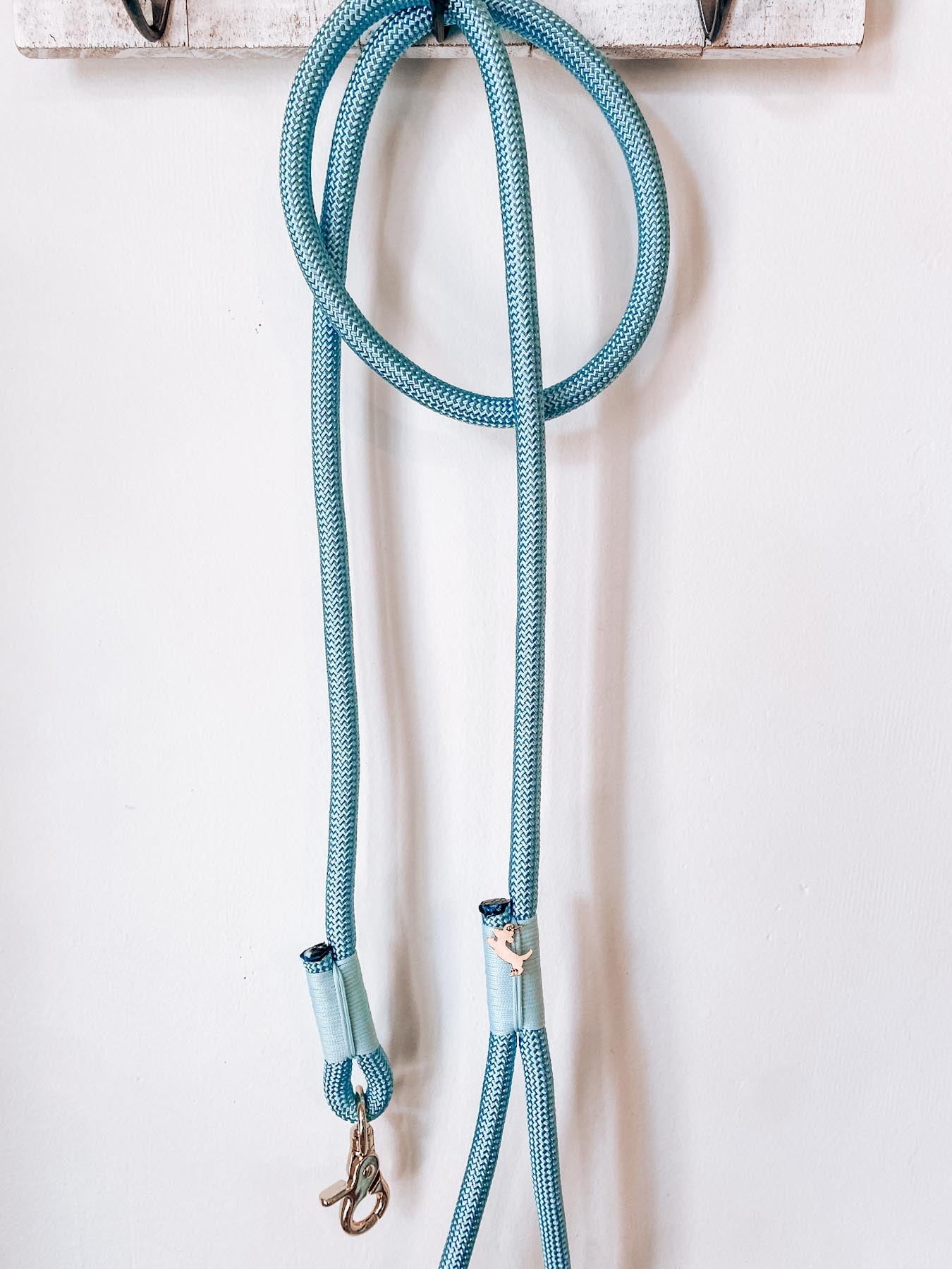 Aqua - Braided Rope Leash - Modern Companion