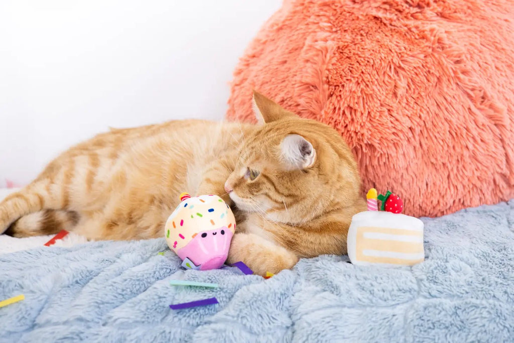 Birthday Cake Cat Toy - Modern Companion