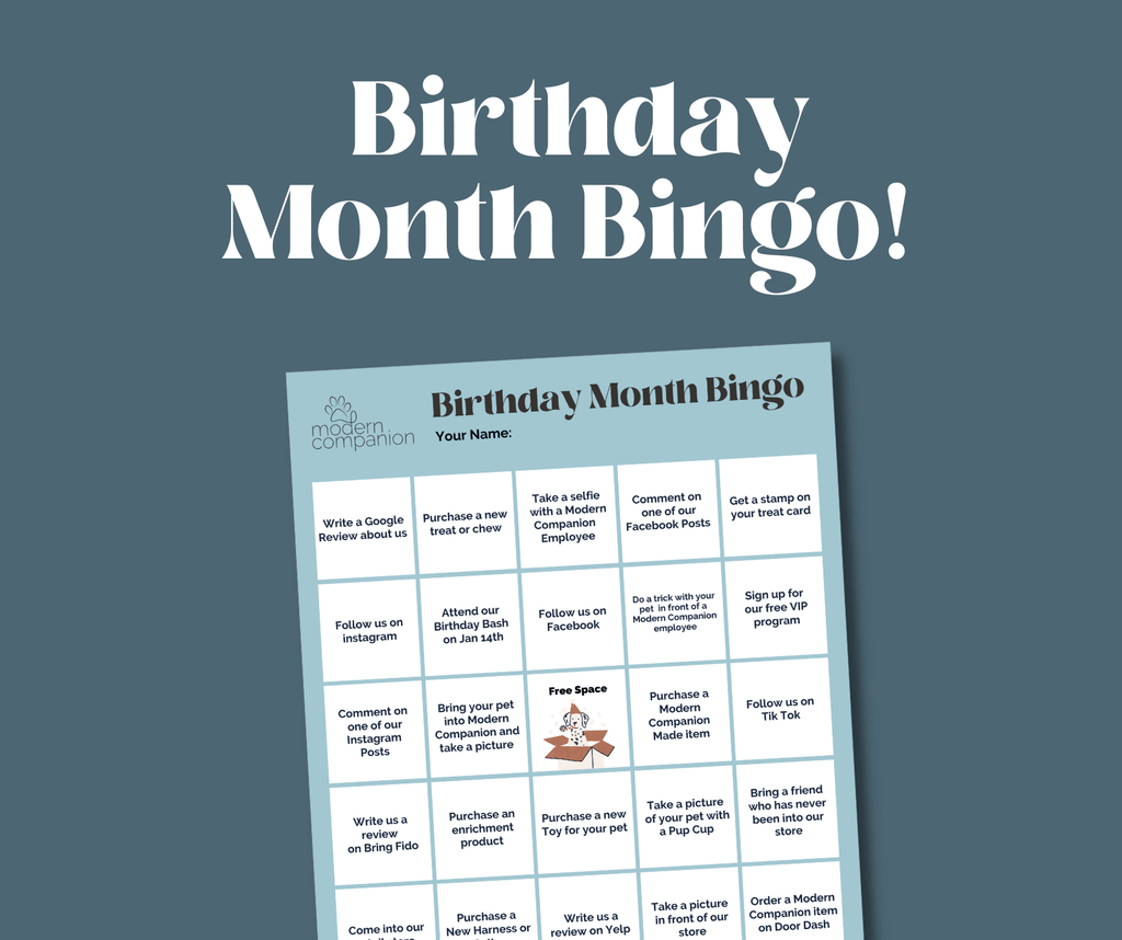 Birthday Month Bingo - Modern Companion
