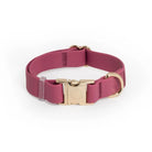 Burgundy Waterproof Collar - Modern Companion