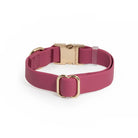 Burgundy Waterproof Collar - Modern Companion