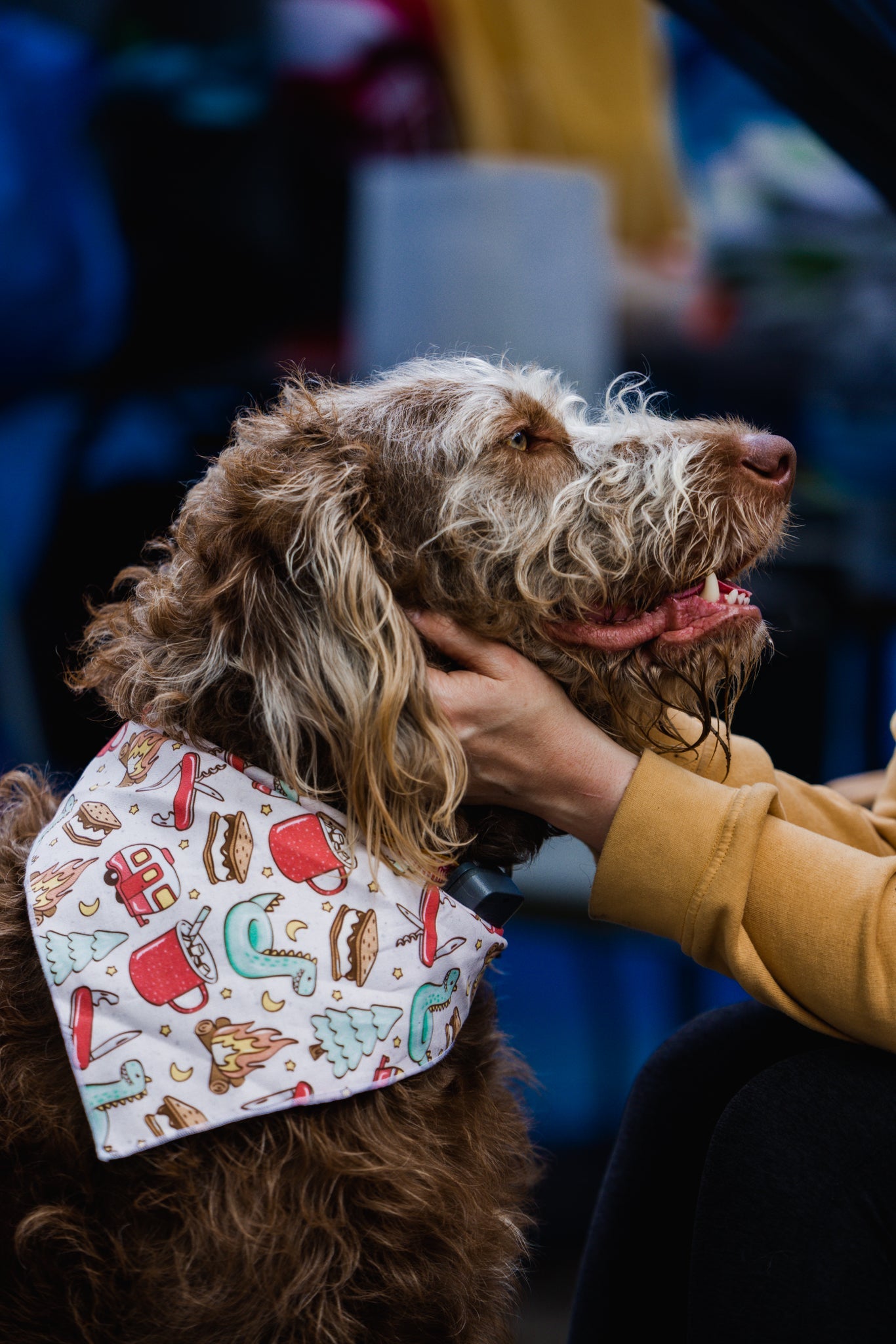 By The Fire Bandana - Modern Companion