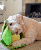 Cabbage Snuffle Mat - Modern Companion