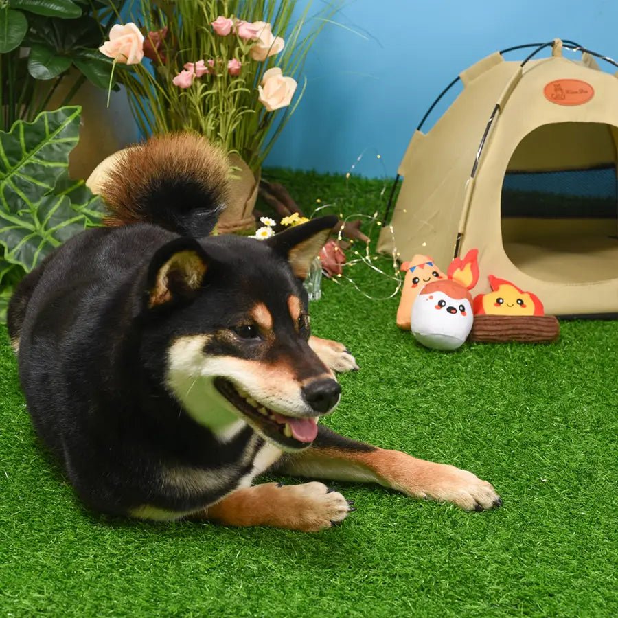 Camping Pups Tent Toy - Modern Companion