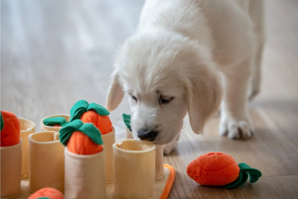 Carrot Patch Snuffle Toy – Modern Companion