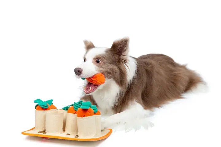 https://themoderncompanion.com/cdn/shop/products/carrot-patch-snuffle-toy-889959.webp?v=1677006787