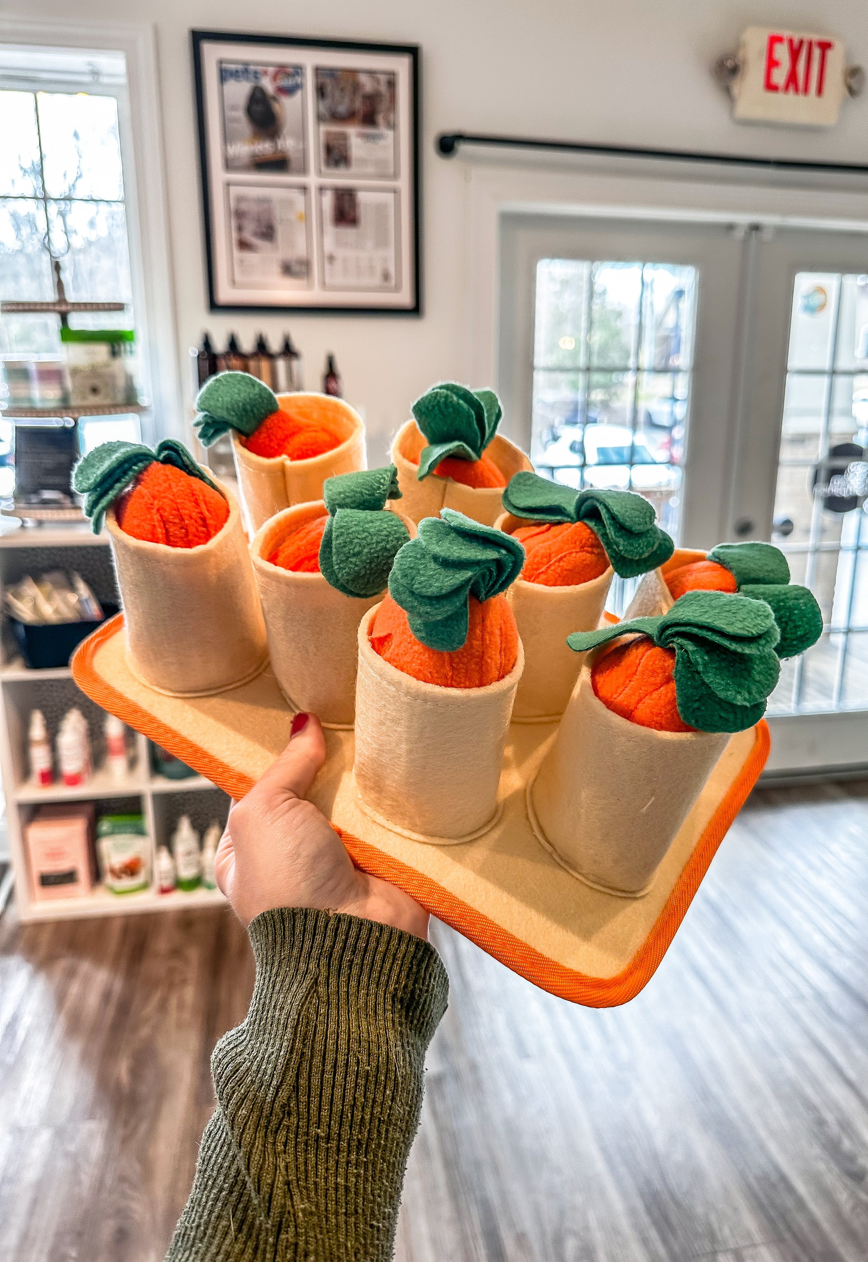 Carrot Snuffle Toy