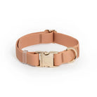 Chai Brown Waterproof Collar - Modern Companion