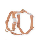 Chai Brown Waterproof Harness - Modern Companion