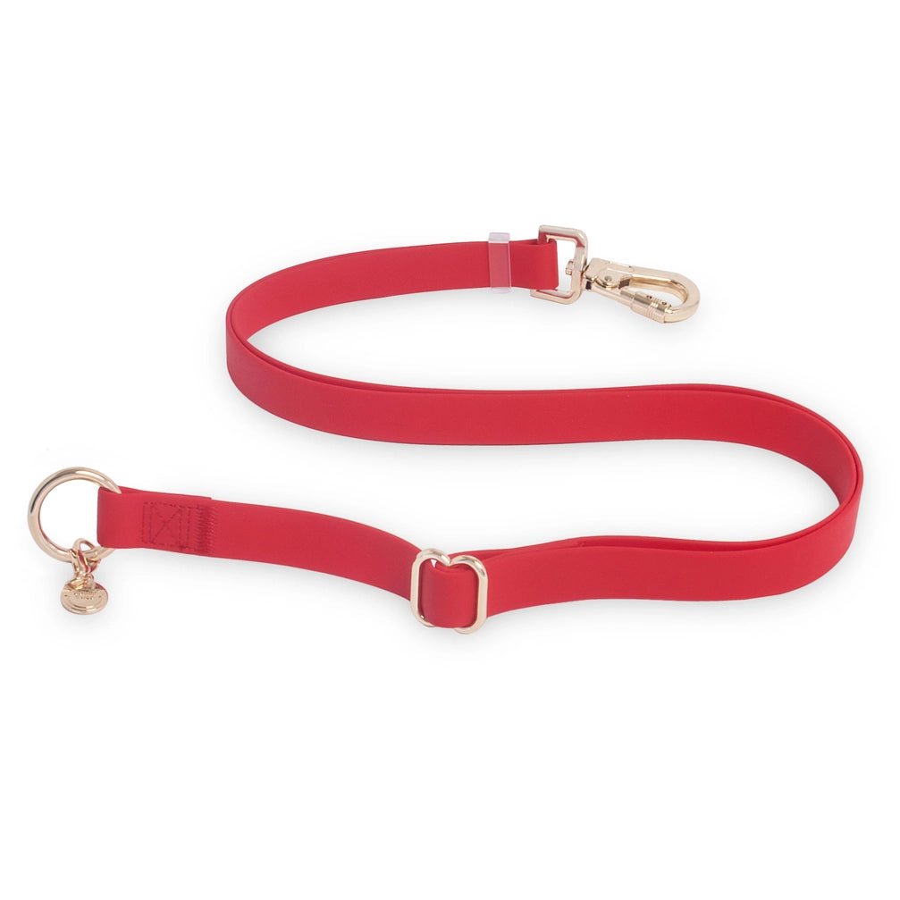 Cherry Red Hands Free Leash 4-Way Extension - Modern Companion