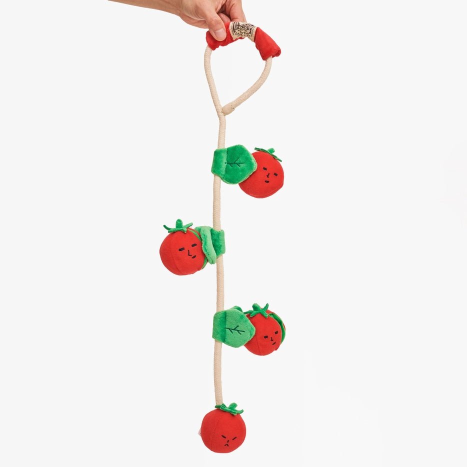 Cherry Tomato Nosework & Tug Toy - Modern Companion