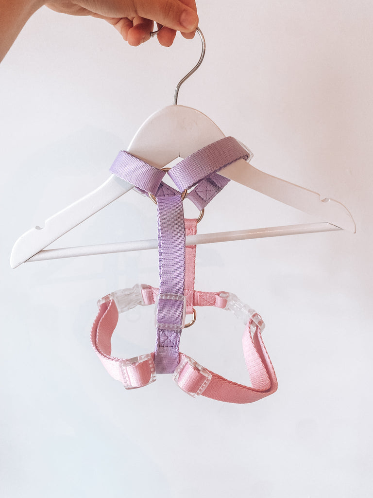 Color Block Harness - Modern Companion